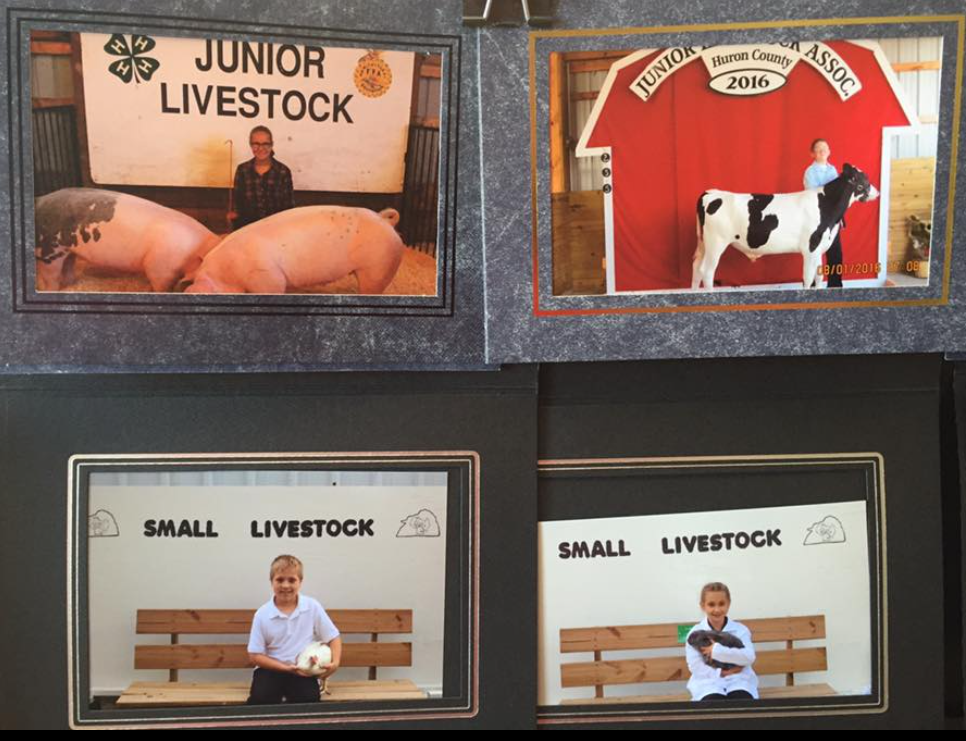 Fair Livestock Purchase